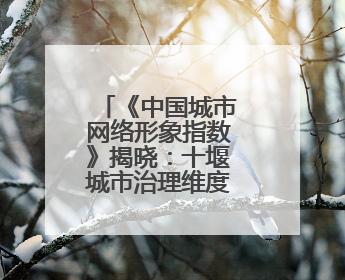 《中国城市网络形象指数》揭晓：十堰城市治理维度全国居首
