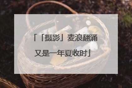 「摄影」麦浪翻涌 又是一年夏收时