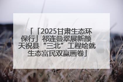「2025甘肃生态环保行」祁连叠翠展新颜 天祝县“三北”工程绘就生态富民双赢画卷