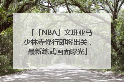「NBA」文班亚马少林寺修行即将出关，最新练武画面曝光