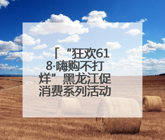 “狂欢618·嗨购不打烊”黑龙江促消费系列活动明日启动