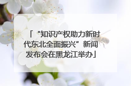 “知识产权助力新时代东北全面振兴”新闻发布会在黑龙江举办