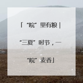 “皖”里有粮｜“三夏”时节，一“皖”麦香