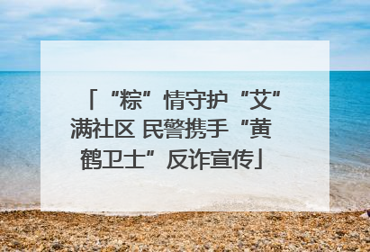 “粽”情守护“艾”满社区 民警携手“黄鹤卫士”反诈宣传