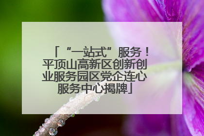“一站式”服务！平顶山高新区创新创业服务园区党企连心服务中心揭牌