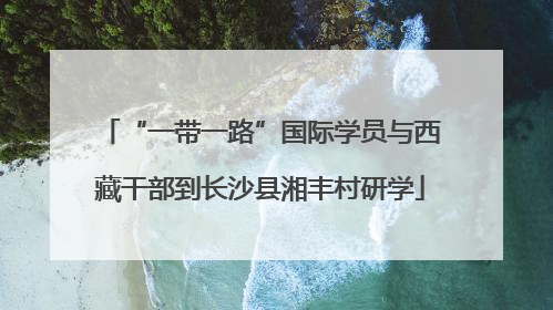 “一带一路”国际学员与西藏干部到长沙县湘丰村研学