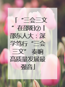 “三会三文”在邵阳⑦丨邵东人大：深学笃行“三会三文” 奏响高质量发展最强音