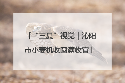 “三夏”视觉｜沁阳市小麦机收圆满收官