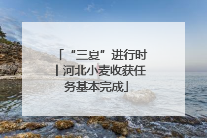 “三夏”进行时丨河北小麦收获任务基本完成