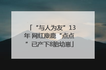 “与人为友”13年 网红麋鹿“点点”已产下8胎幼崽