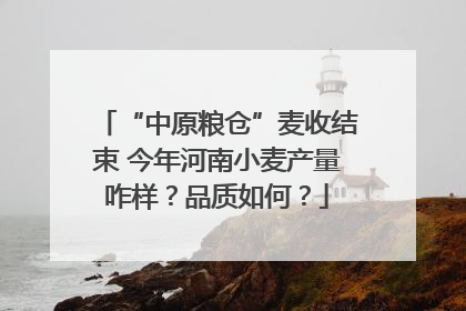 “中原粮仓”麦收结束 今年河南小麦产量咋样？品质如何？