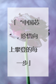 “中国芯”，珍惜向上攀登的每一步