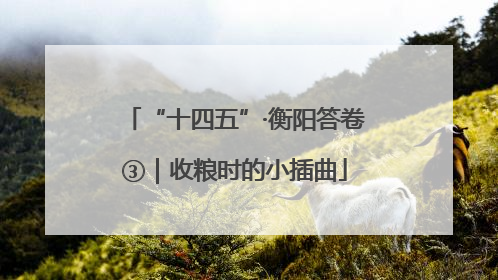 “十四五”·衡阳答卷③｜收粮时的小插曲