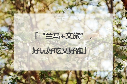 “兰马+文旅”，好玩好吃又好跑