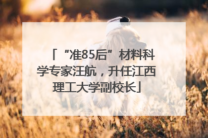 “准85后”材料科学专家汪航，升任江西理工大学副校长
