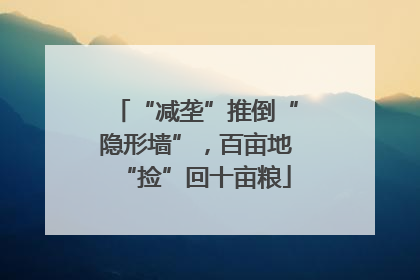 “减垄”推倒“隐形墙”，百亩地“捡”回十亩粮