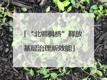 “北疆枫桥”释放基层治理新效能
