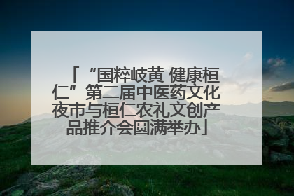 “国粹岐黄 健康桓仁”第二届中医药文化夜市与桓仁农礼文创产品推介会圆满举办
