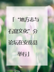 “地方志与石窟文化”分论坛在安岳县举行
