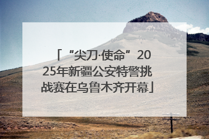 “尖刀·使命”2025年新疆公安特警挑战赛在乌鲁木齐开幕