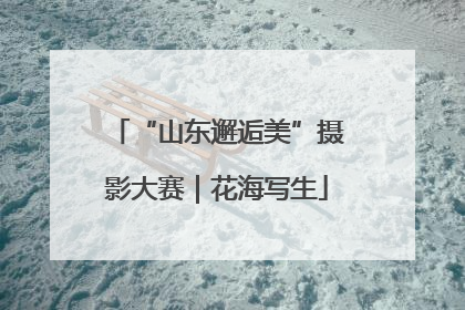 “山东邂逅美”摄影大赛｜花海写生