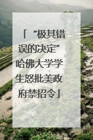 “极其错误的决定”哈佛大学学生怒批美政府禁招令