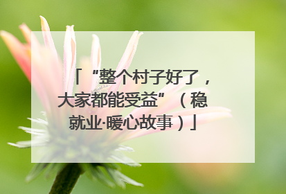 “整个村子好了，大家都能受益”（稳就业·暖心故事）