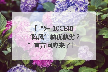 “歼-10CE和‘阵风’孰优孰劣？”官方回应来了