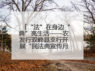 “法”在身边“典”亮生活——农发行双峰县支行开展“民法典宣传月”活动