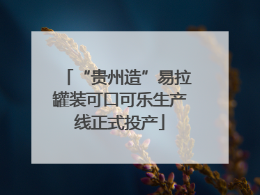 “贵州造”易拉罐装可口可乐生产线正式投产
