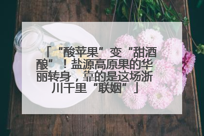 “酸苹果”变“甜酒酿”！盐源高原果的华丽转身，靠的是这场浙川千里“联姻”