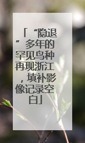 “隐退”多年的罕见鸟种再现浙江，填补影像记录空白