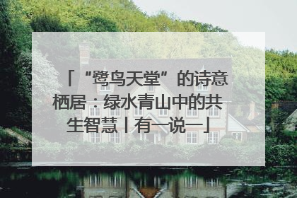 “鹭鸟天堂”的诗意栖居：绿水青山中的共生智慧丨有一说一