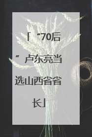 “70后”卢东亮当选山西省省长