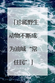珍稀野生动物不断成为油城“常住民”