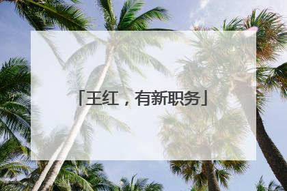 王红，有新职务