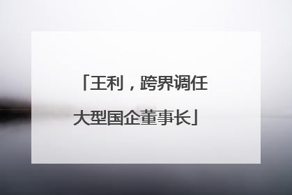 王利，跨界调任大型国企董事长
