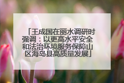 王成国在丽水调研时强调：以更高水平安全和法治环境服务保障山区海岛县高质量发展