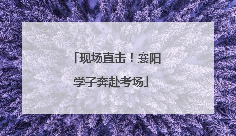 现场直击！襄阳学子奔赴考场