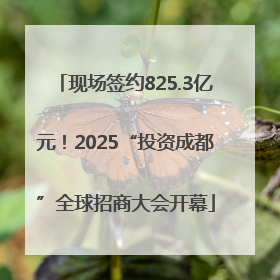现场签约825.3亿元！2025“投资成都”全球招商大会开幕