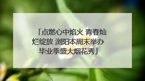 点燃心中焰火 青春灿烂绽放 浏阳本周末举办毕业季盛大烟花秀