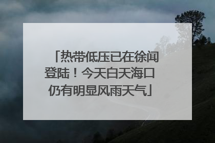 热带低压已在徐闻登陆！今天白天海口仍有明显风雨天气