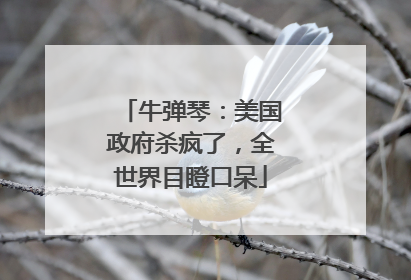 牛弹琴：美国政府杀疯了，全世界目瞪口呆