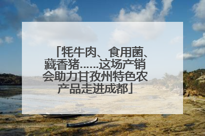 牦牛肉、食用菌、藏香猪……这场产销会助力甘孜州特色农产品走进成都