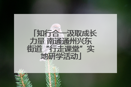 知行合一汲取成长力量 南通通州兴东街道“行走课堂”实地研学活动