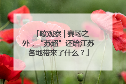 瞭观察 | 赛场之外，“苏超”还给江苏各地带来了什么？