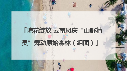琼花绽放 云南凤庆“山野精灵”舞动原始森林（组图）