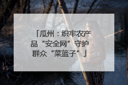 瓜州：织牢农产品“安全网”守护群众“菜篮子”