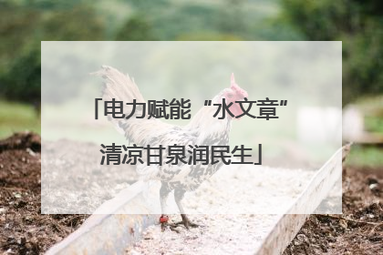 电力赋能“水文章” 清凉甘泉润民生
