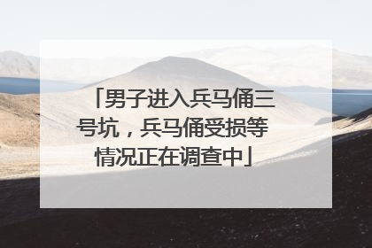 男子进入兵马俑三号坑，兵马俑受损等情况正在调查中